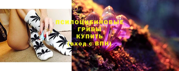 ГАЛЛЮЦИНОГЕННЫЕ ГРИБЫ Алексеевка