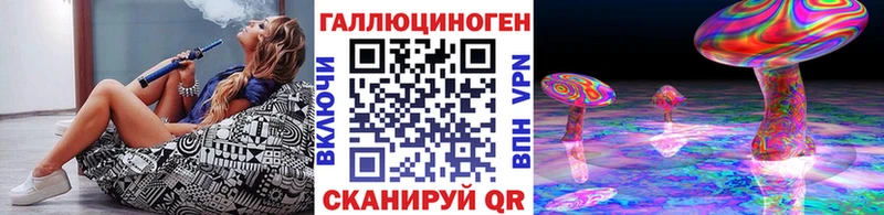 блэк спрут   Пермь  Псилоцибиновые грибы прущие грибы 